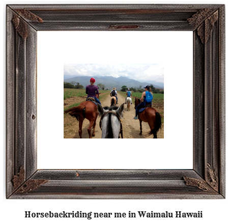 horseback riding near me in Waimalu, Hawaii